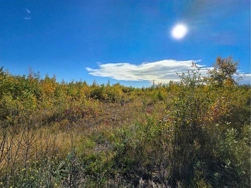 288 Brownlows Landing, Gull Lake, AB 