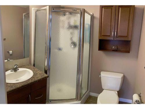 43169 Range Road 215, Rural Camrose County, AB - Indoor Photo Showing Bathroom