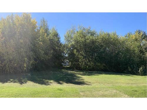 43169 Range Road 215, Rural Camrose County, AB - Outdoor