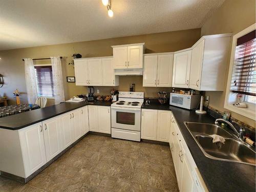 91 Isherwood Close, Red Deer, AB - Indoor Photo Showing Kitchen With Double Sink