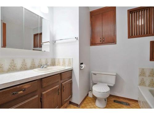 38036 Highway 850, Rural Stettler No. 6, County Of, AB - Indoor Photo Showing Bathroom