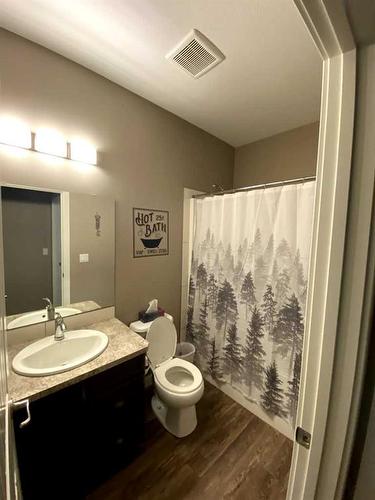 445003 Range Road 11 Range, Rural Ponoka County, AB - Indoor Photo Showing Bathroom