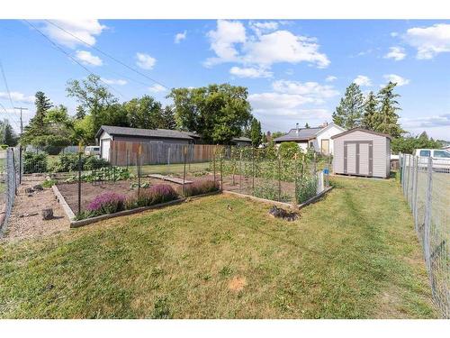 4931 49 Street, Lougheed, AB - Outdoor With Backyard