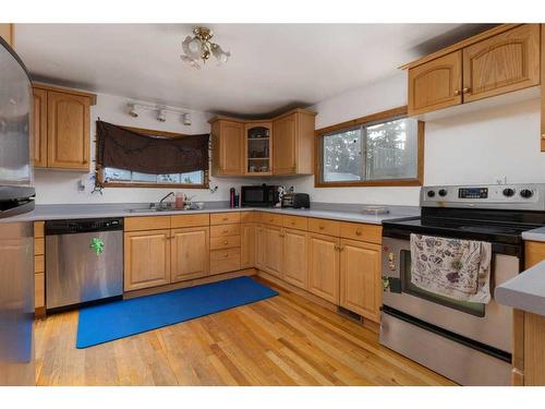 4617 48 Street, Camrose, AB - Indoor Photo Showing Kitchen With Double Sink