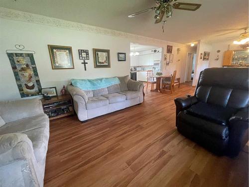 5025 46 Street, Daysland, AB - Indoor Photo Showing Living Room