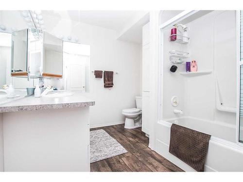 38365 Range Road 281, Rural Red Deer County, AB - Indoor Photo Showing Bathroom