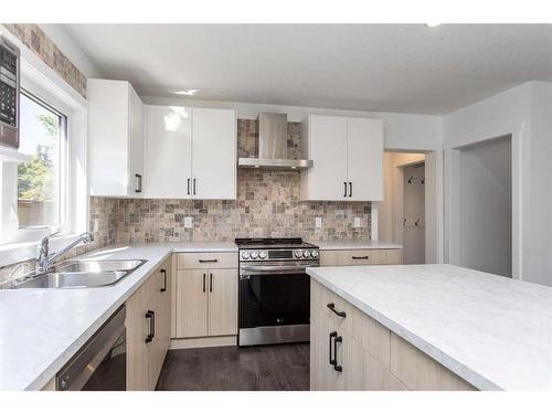 5040 56A Street, Lacombe, AB - Indoor Photo Showing Kitchen With Double Sink