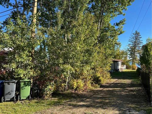 199 Grand Avenue, Norglenwold, AB - Outdoor