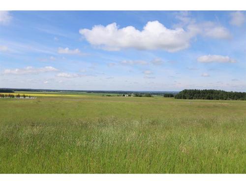 On Township Road 424, Rural Ponoka County, AB 