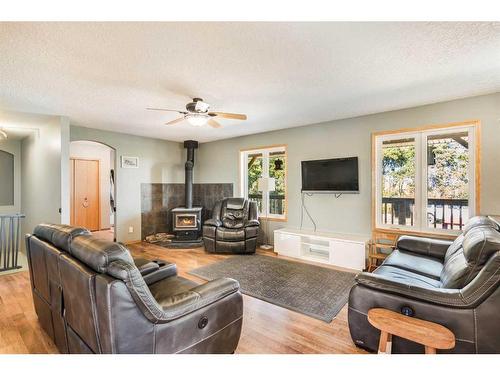 42175 Range Road 225, Rural Camrose County, AB - Indoor Photo Showing Living Room With Fireplace