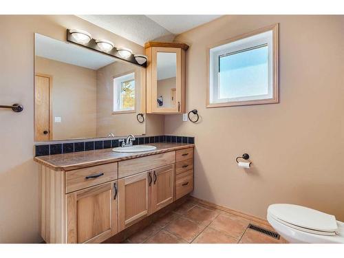 42175 Range Road 225, Rural Camrose County, AB - Indoor Photo Showing Bathroom