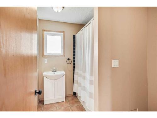 42175 Range Road 225, Rural Camrose County, AB - Indoor Photo Showing Bathroom