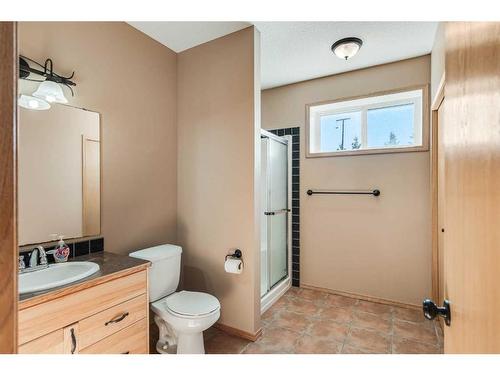 42175 Range Road 225, Rural Camrose County, AB - Indoor Photo Showing Bathroom