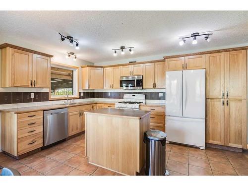 42175 Range Road 225, Rural Camrose County, AB - Indoor Photo Showing Kitchen