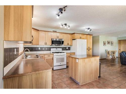 42175 Range Road 225, Rural Camrose County, AB - Indoor Photo Showing Kitchen With Double Sink