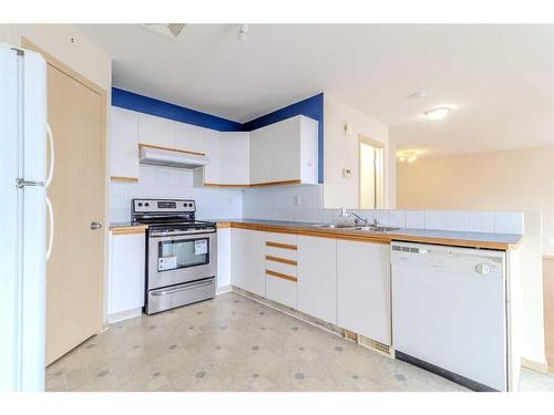 37-103 Addington Drive, Red Deer, AB - Indoor Photo Showing Kitchen With Double Sink