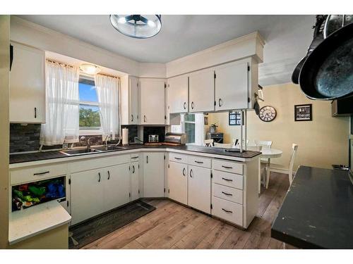 5003 47 Avenue, Forestburg, AB - Indoor Photo Showing Kitchen With Double Sink