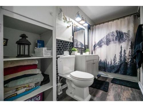 5003 47 Avenue, Forestburg, AB - Indoor Photo Showing Bathroom