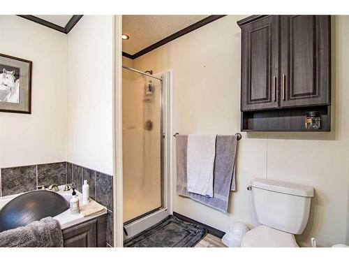 402010 Range Road 5-5, Rural Clearwater County, AB - Indoor Photo Showing Bathroom