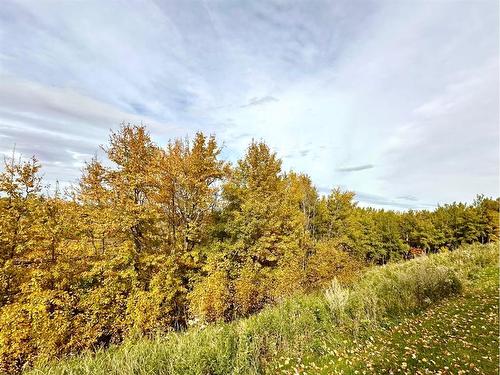 5215 36 Avenue, Camrose, AB - Outdoor With View