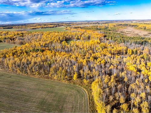 364011-761 Highway, Rural Clearwater County, AB - Outdoor With View