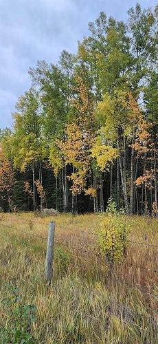 None, Rural Clearwater County, AB 