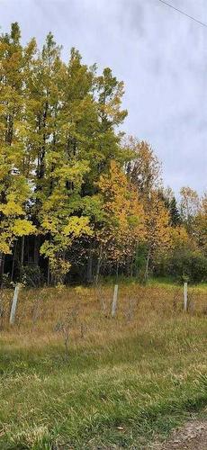 None, Rural Clearwater County, AB 