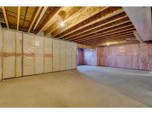 52 Legacy Forest Landing Se, Calgary, AB - Indoor Photo Showing Basement