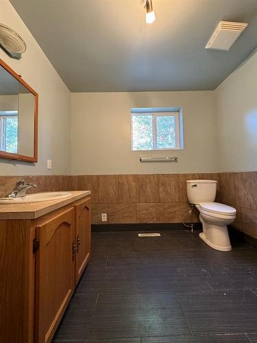 4809 51 Street, Sedgewick, AB - Indoor Photo Showing Bathroom