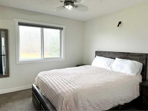 3218 384 Township, Rural Lacombe County, AB - Indoor Photo Showing Bedroom