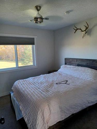 3218 384 Township, Rural Lacombe County, AB - Indoor Photo Showing Bedroom