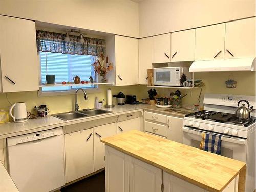 5005 46 Avenue, Forestburg, AB - Indoor Photo Showing Kitchen With Double Sink