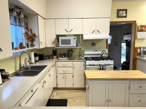 5005 46 Avenue, Forestburg, AB - Indoor Photo Showing Kitchen With Double Sink