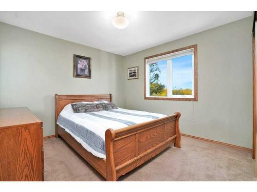 5420 58A Street Crescent, Lacombe, AB - Indoor Photo Showing Bedroom