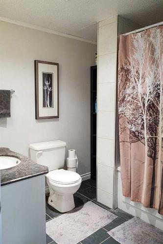 41441 Rng Rd 103, Rural Flagstaff County, AB - Indoor Photo Showing Bathroom