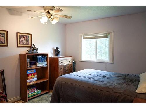 41441 Rng Rd 103, Rural Flagstaff County, AB - Indoor Photo Showing Bedroom