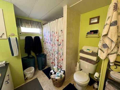 302 Lady Helen Avenue West, Galahad, AB - Indoor Photo Showing Bathroom