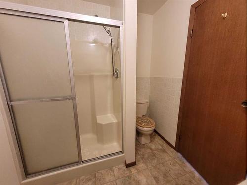 48516 Highway 22, Rural Brazeau County, AB - Indoor Photo Showing Bathroom