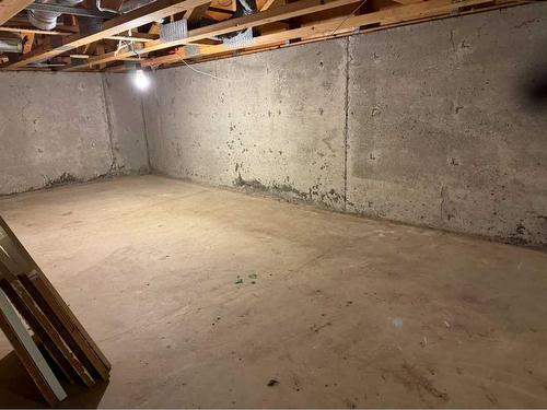 48516 Highway 22, Rural Brazeau County, AB - Indoor Photo Showing Basement