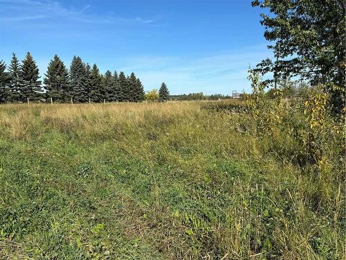 48516 Highway 22, Rural Brazeau County, AB - Outdoor With View