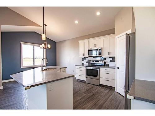 54 Metcalf Way, Lacombe, AB - Indoor Photo Showing Kitchen