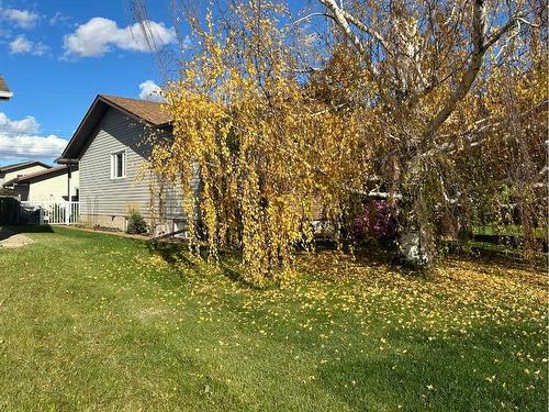 5611 46 Avenue West, Forestburg, AB - Outdoor