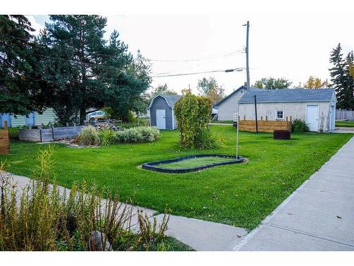 5139 52 Avenue, Viking, AB - Outdoor With Backyard