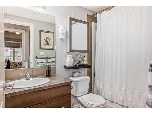 #123-6 Michener Hill Boulevard, Red Deer, AB - Indoor Photo Showing Bathroom