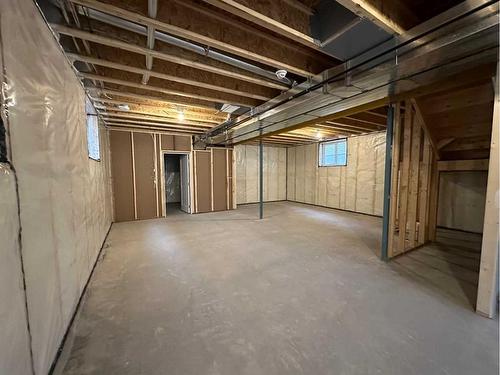 58 Livingston Close East, Red Deer, AB - Indoor Photo Showing Basement