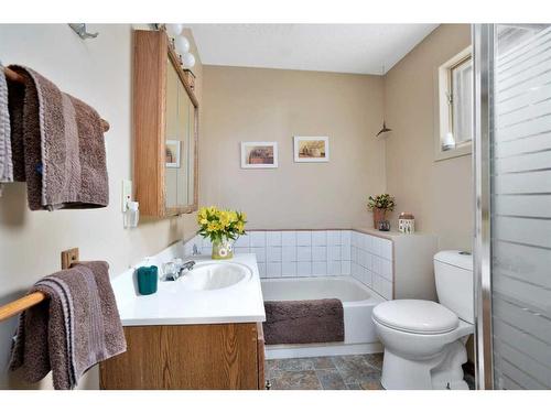 133 Birchcliff Road, Birchcliff, AB - Indoor Photo Showing Bathroom