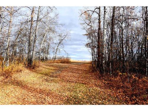 37054 River Road, Rural Red Deer County, AB 