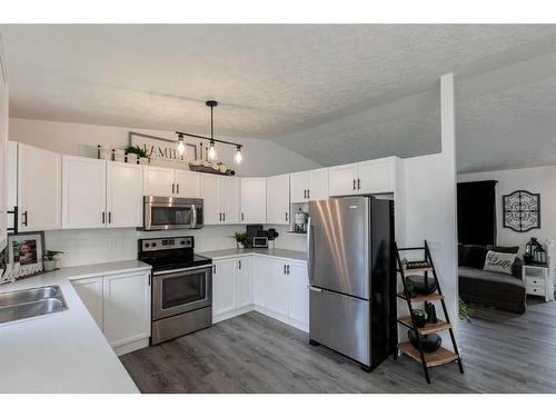 4508 43 Street, Sylvan Lake, AB - Indoor Photo Showing Kitchen With Double Sink