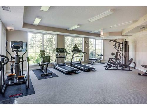 329-6 Michener Boulevard, Red Deer, AB - Indoor Photo Showing Gym Room