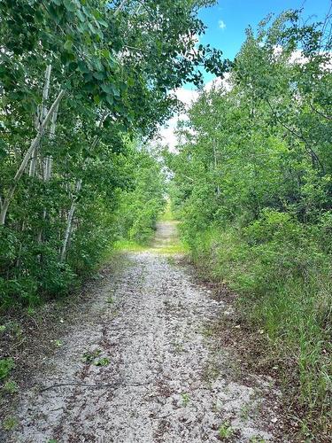 4 Sunset Lane, Rural Stettler No. 6, County Of, AB 